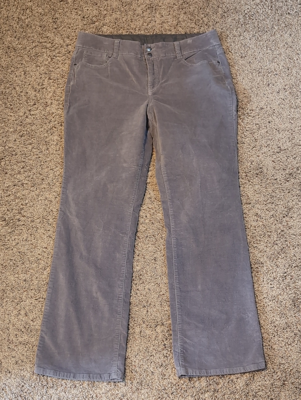 Sonoma Life + Style Women’s Gray Bootcut Softy Velvet Pants Size 14 Reg - Picture 2 of 11